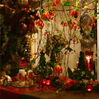 スクールフェスティバル2007