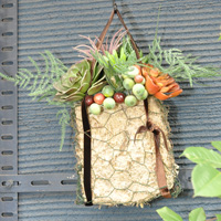 スクールフェスティバル2013