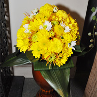 スクールフェスティバル2013